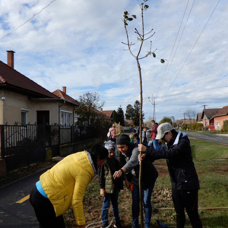 Közösségi faültetés Berettyóújfaluban 44